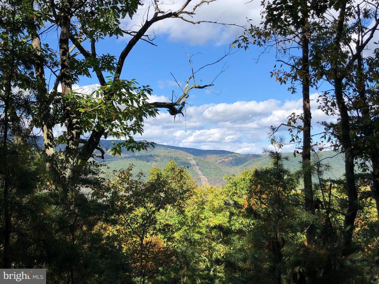 Lot 42 Grace Mountain Road - Photo 1