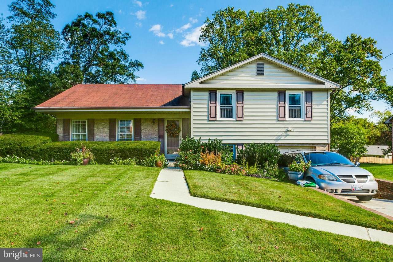 13203 Tamarack Road - Photo 1