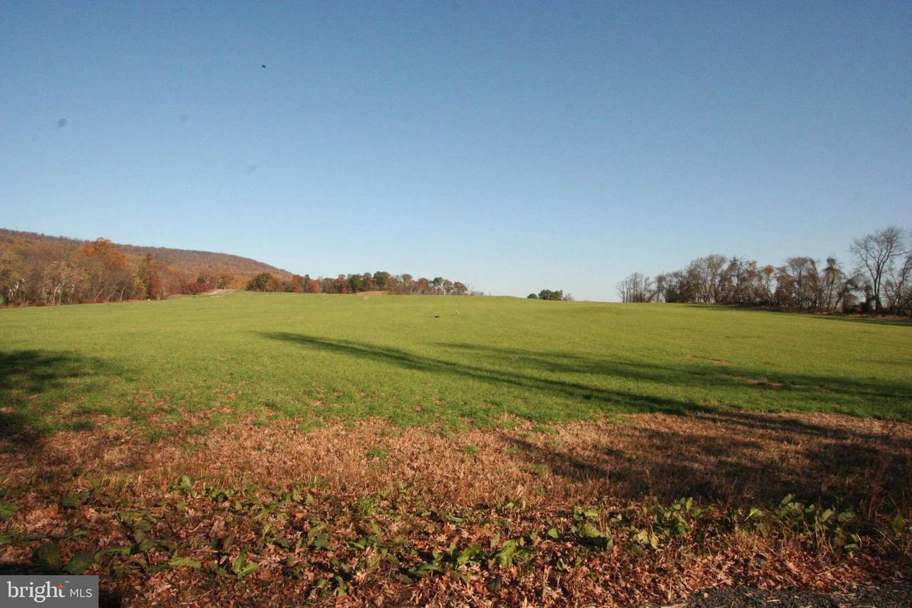 Lot 1E1 Tangletwig 7.7 Acres - Photo 1