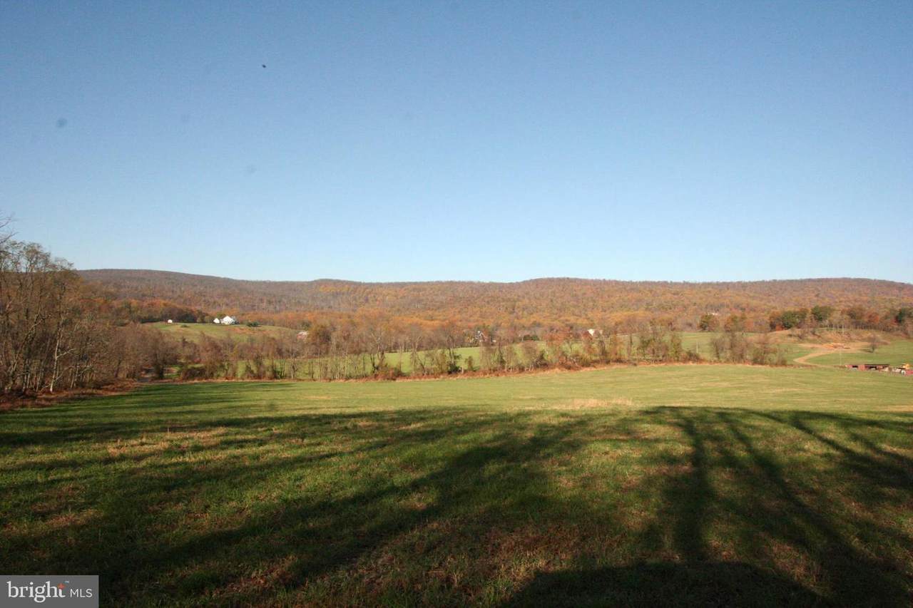 lot 1F2A Tangletwig Lane 18.1 Acres - Photo 1