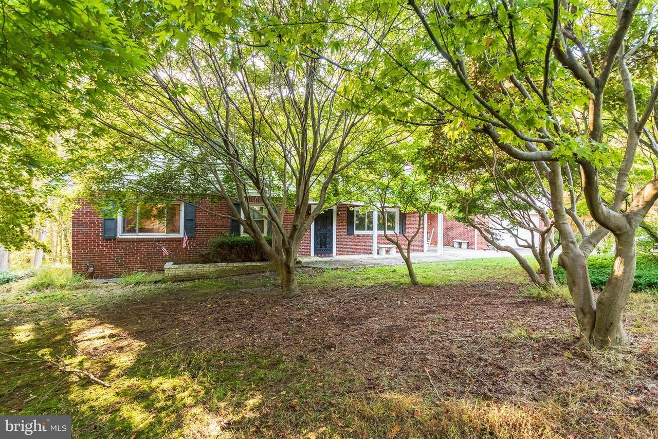 4417 Langtry Drive - Photo 1