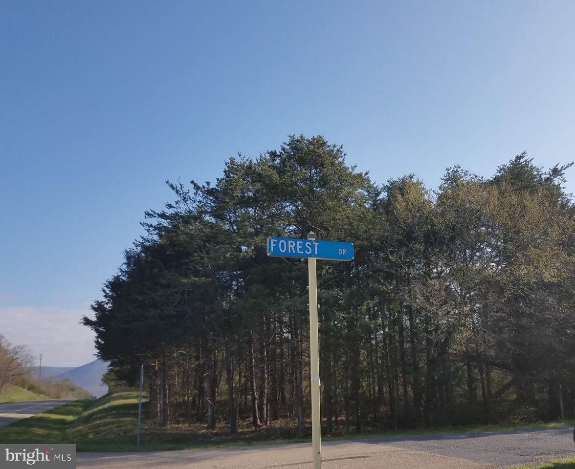 TBD Forest Drive - Photo 1