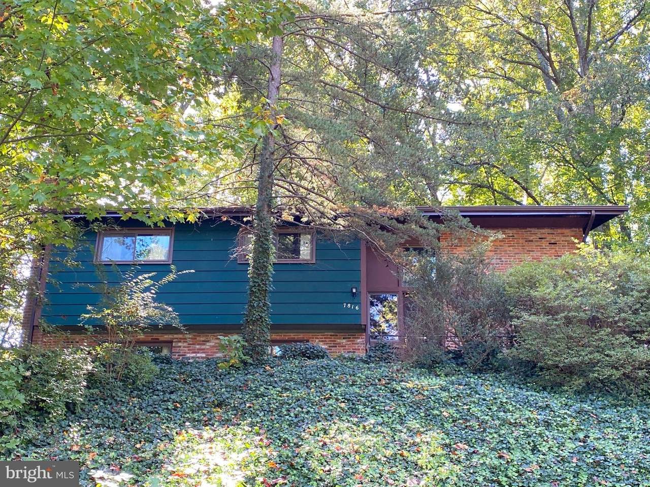 7816 Glenister Drive - Photo 1