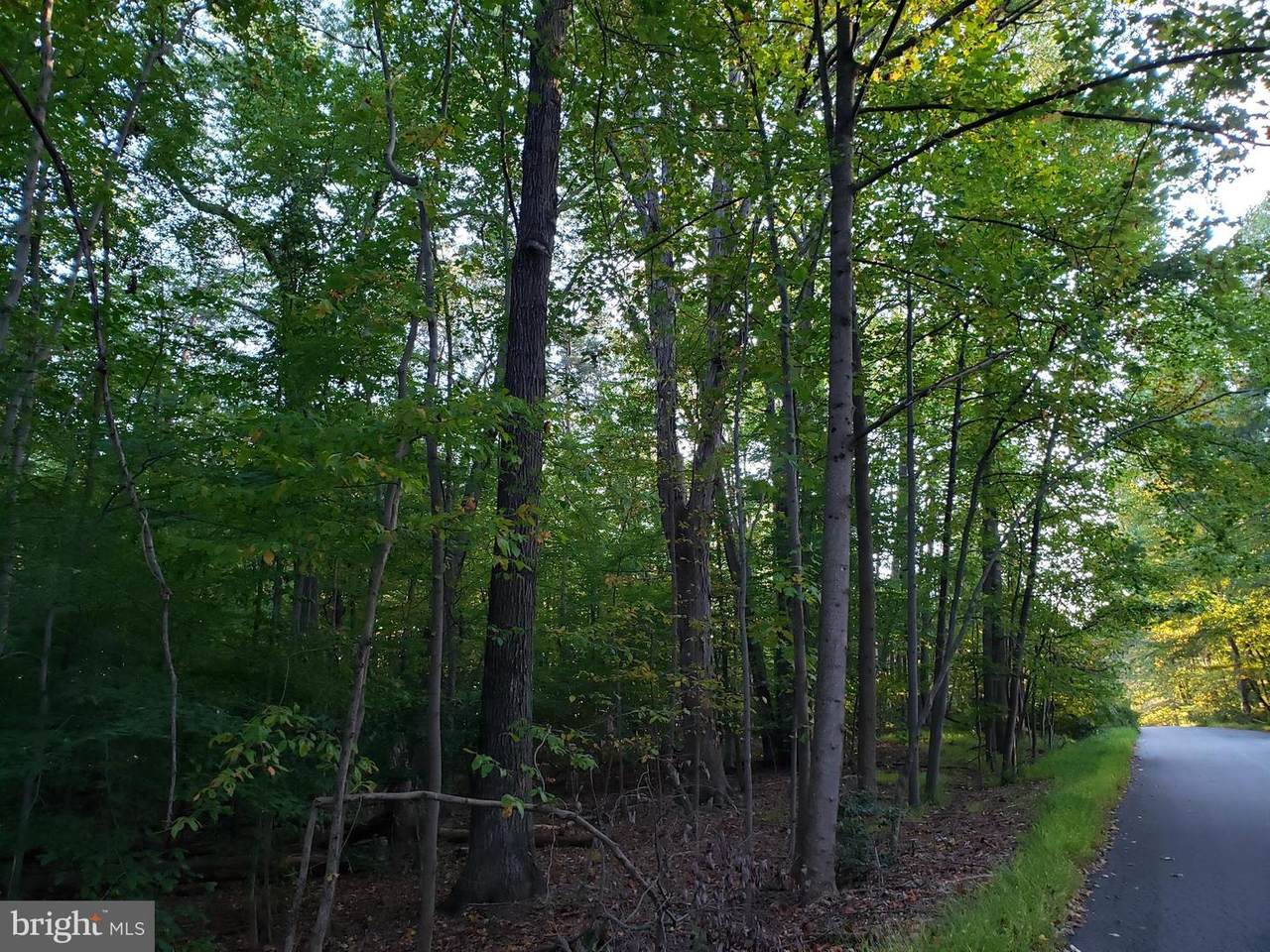 801 Clear Spring Road - Photo 1