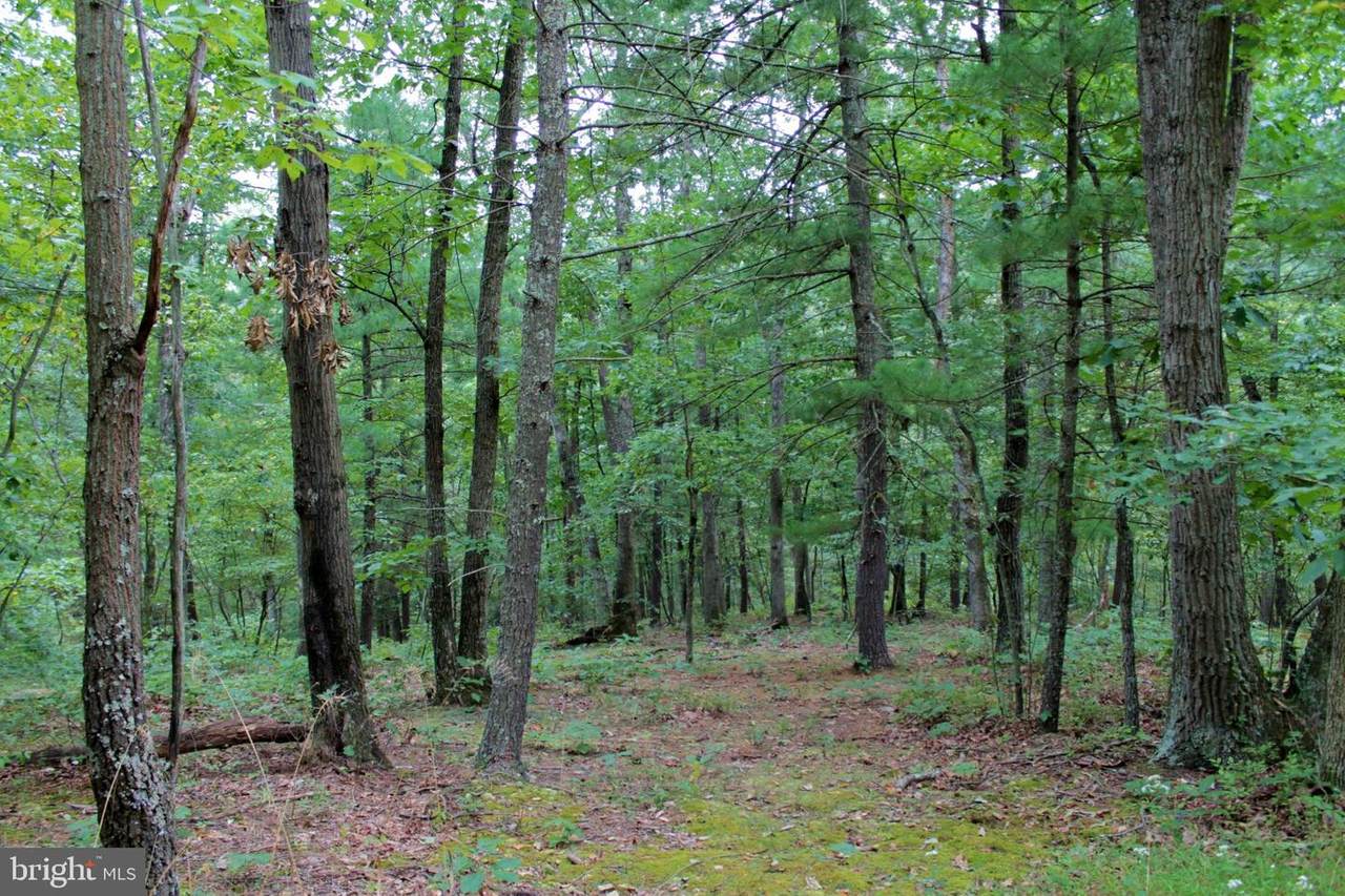 Lot 9 Delancy Rd - Photo 1