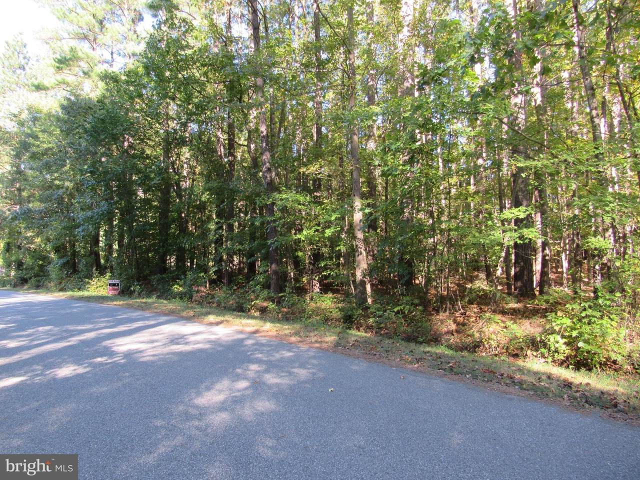 43 Belle Plains Drive - Photo 1