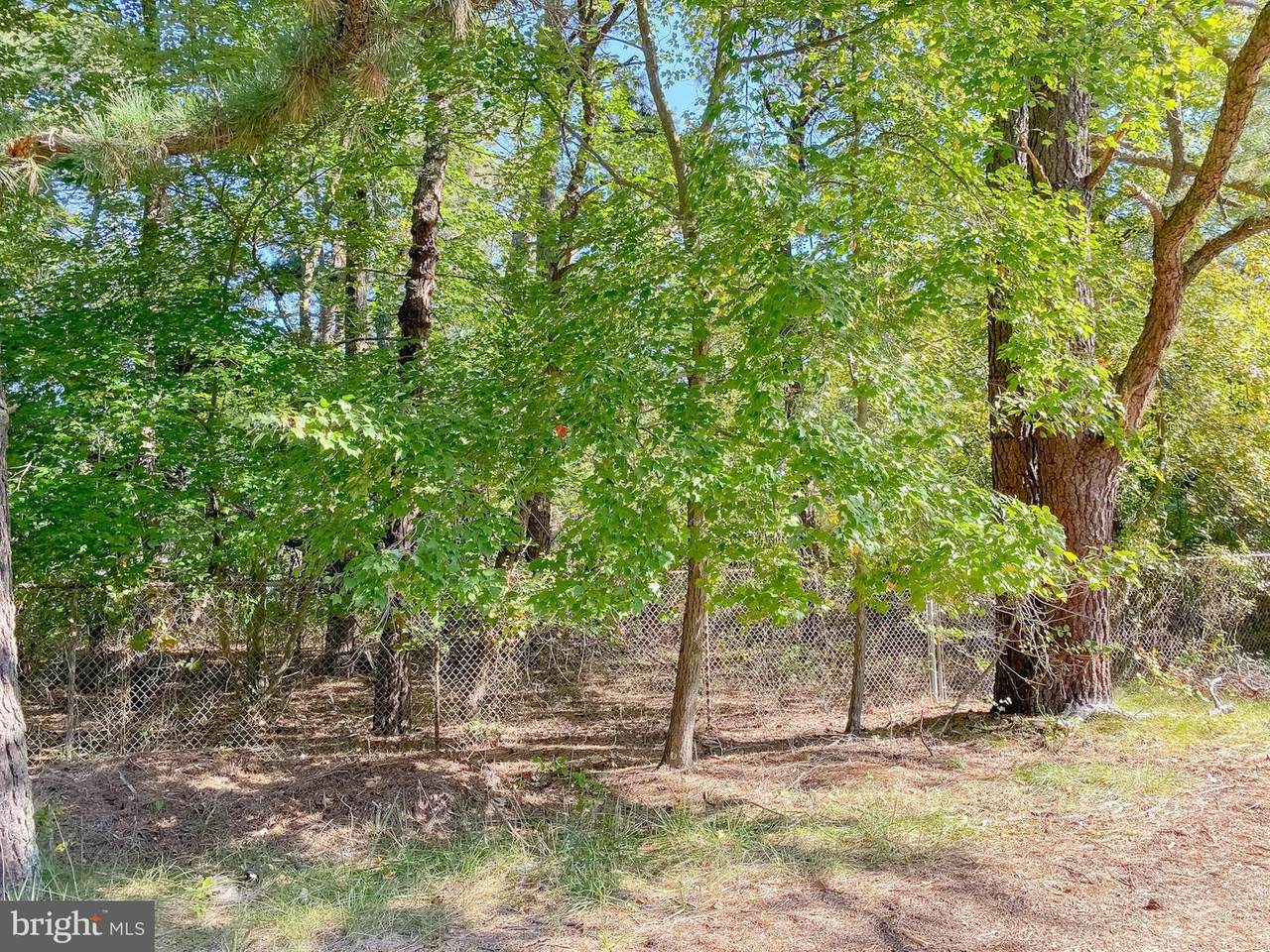 1605 Red Feather Trail - Photo 1