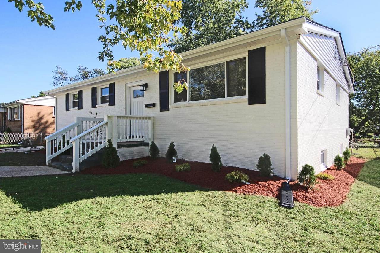 4641 Lamar Avenue - Photo 1