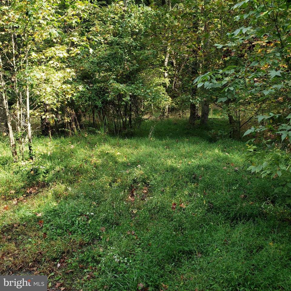 Lot 76 Jasmine Trail - Photo 1