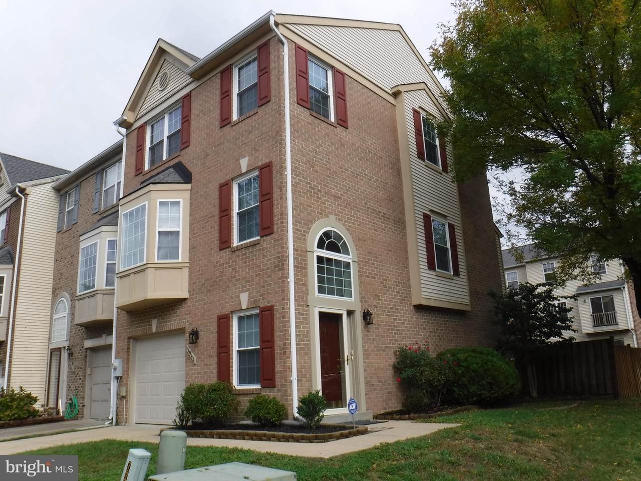 3941 Elite Street - Photo 1