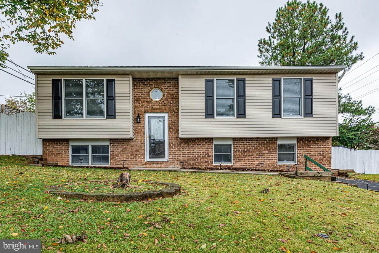 25 Elizabeth Avenue - Photo 1