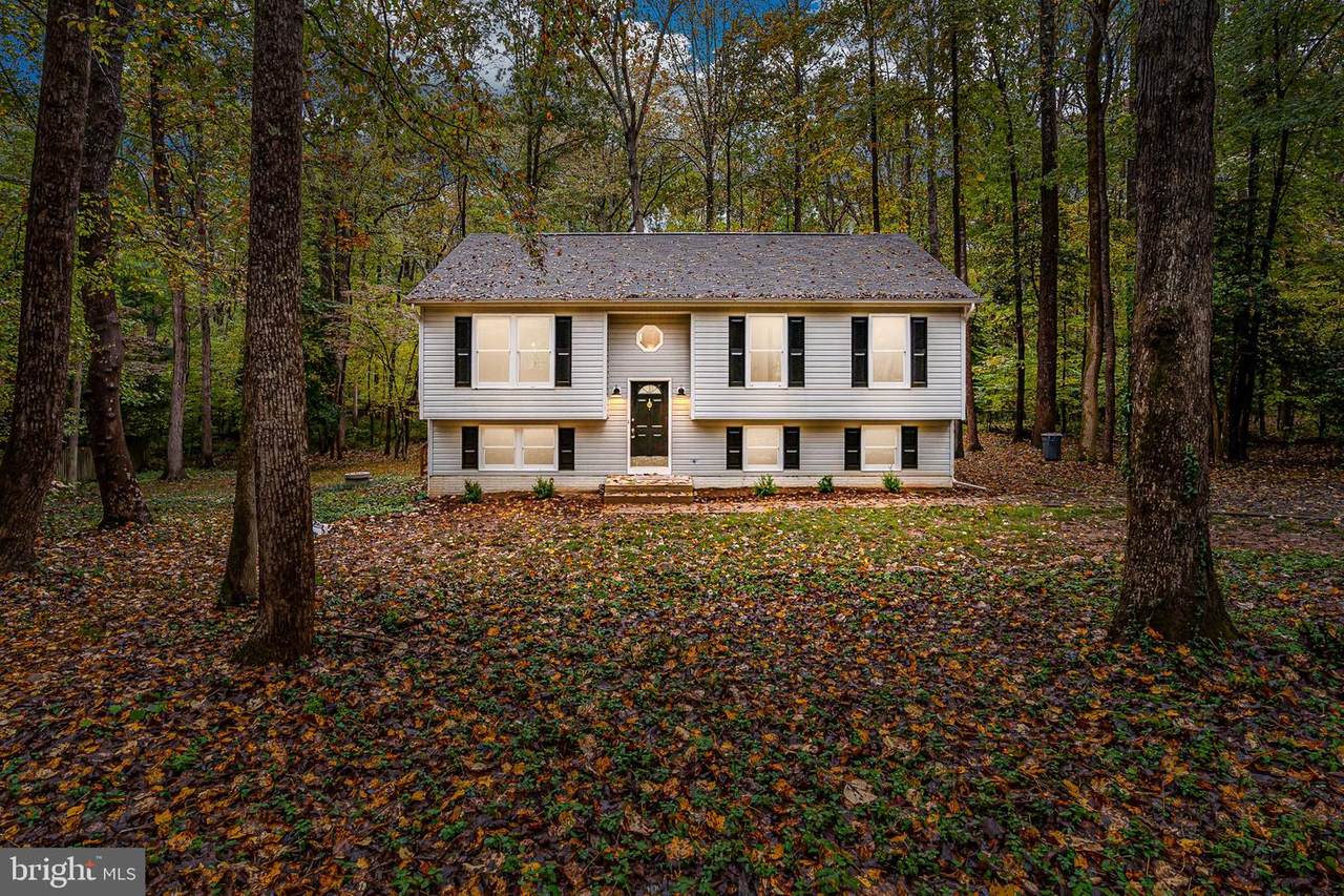 12717 Pickett Court - Photo 1
