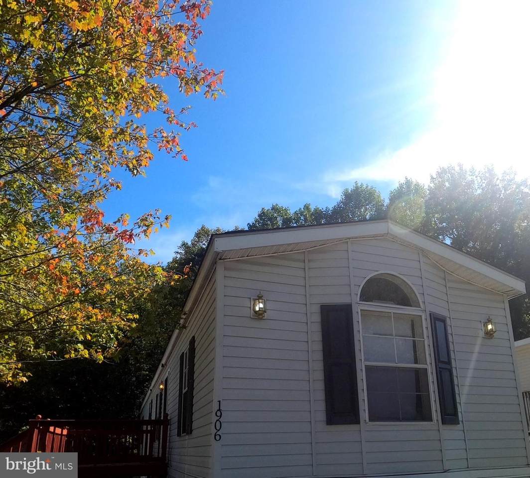 1906 Grovewood Drive - Photo 1