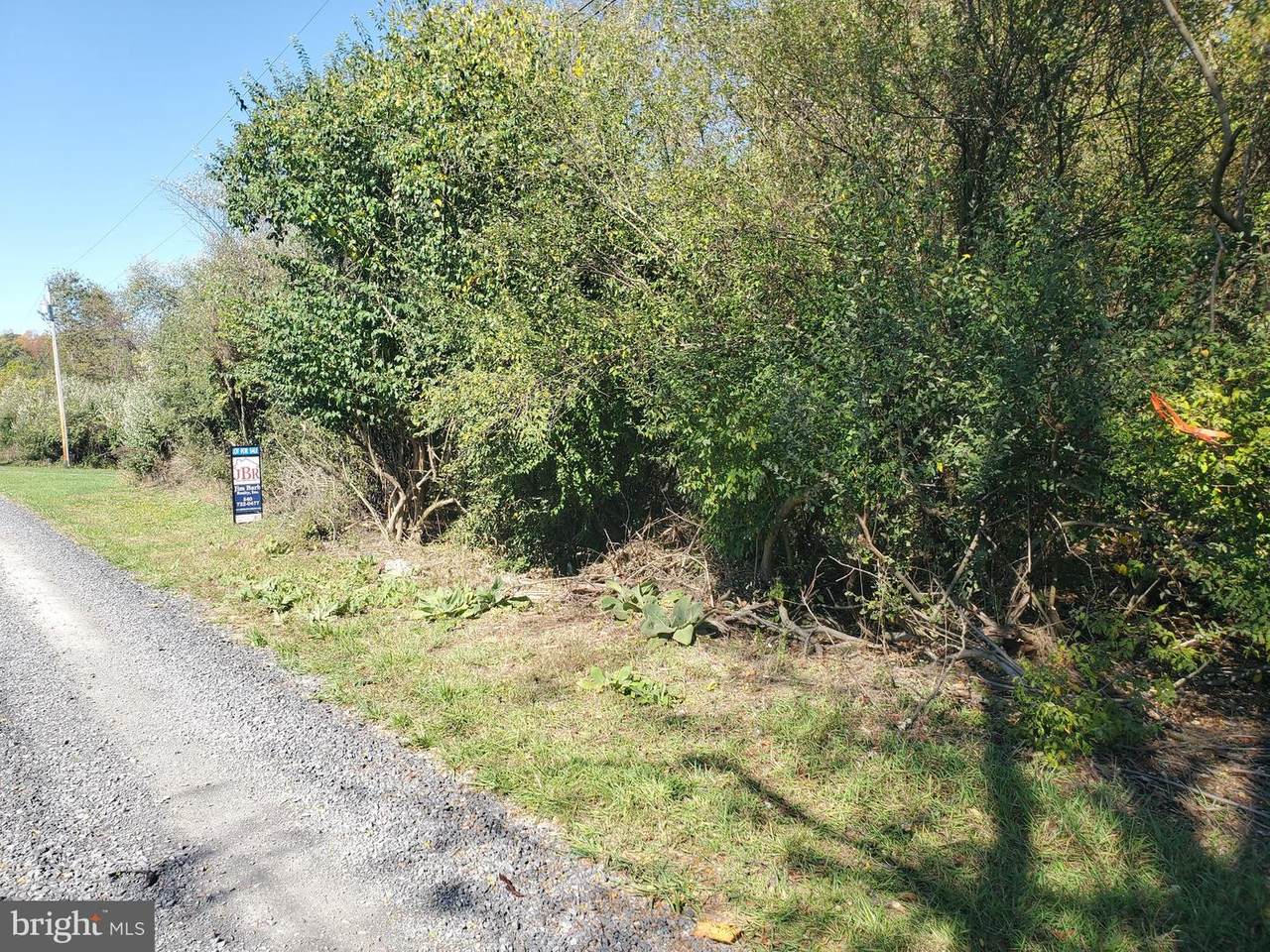 Our Lane - Photo 1