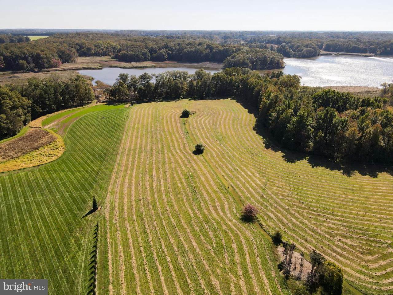 TBD Pond Creek Lane - Photo 1
