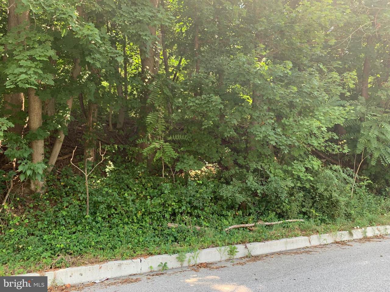 1509 Duke Street - Photo 1