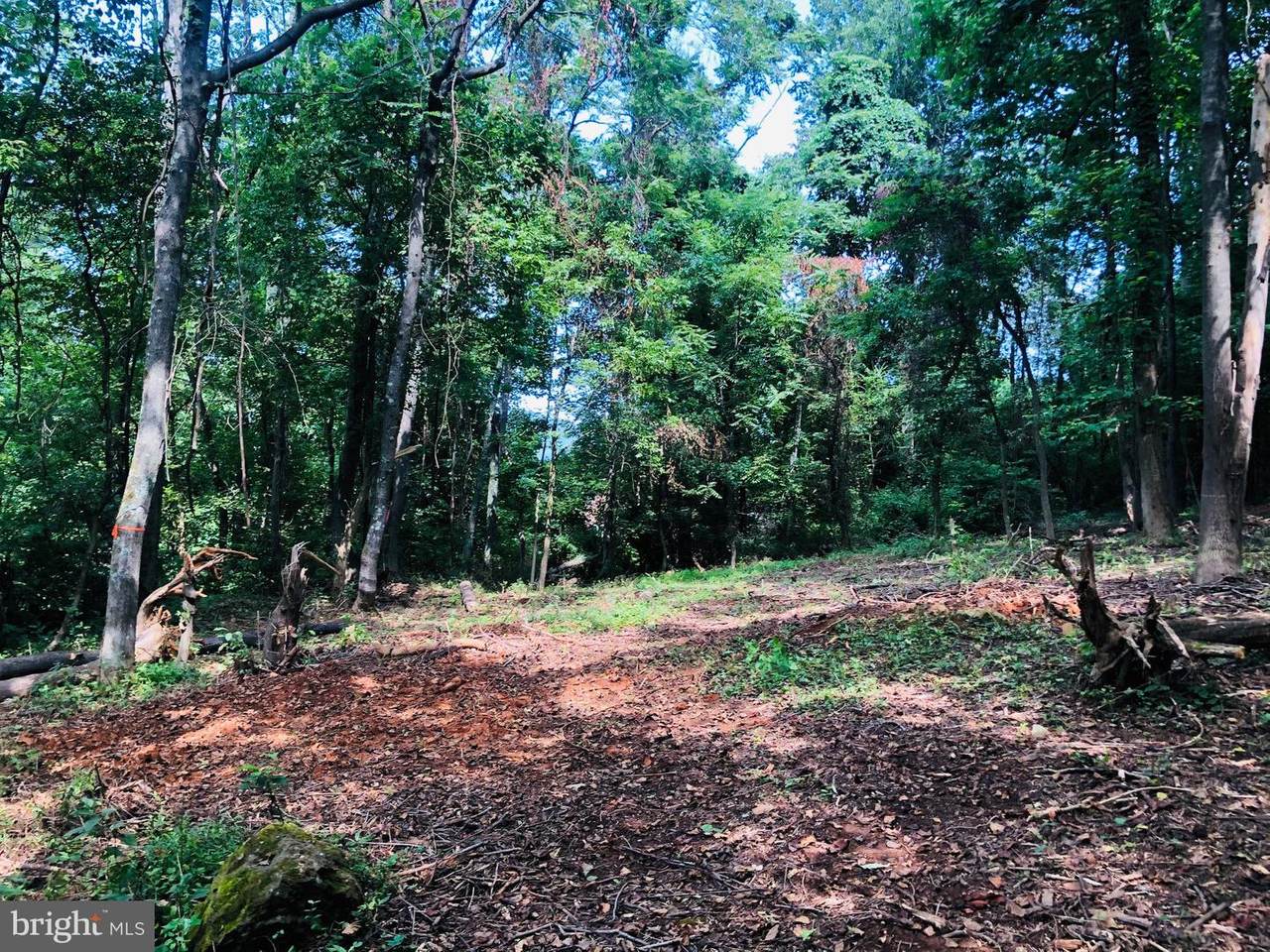 Mountain Heights Road - Photo 1