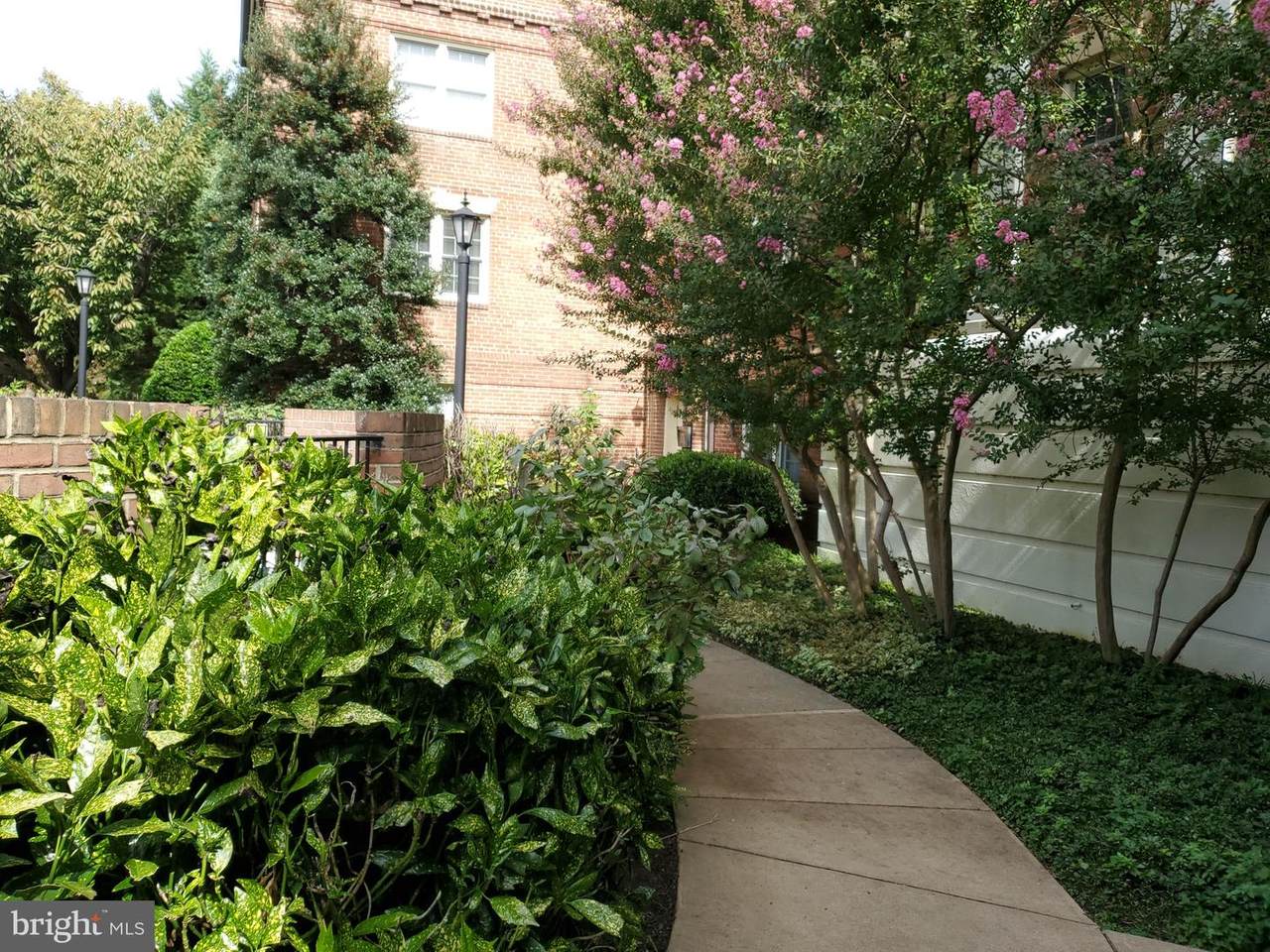 1119 Pitt Street - Photo 1