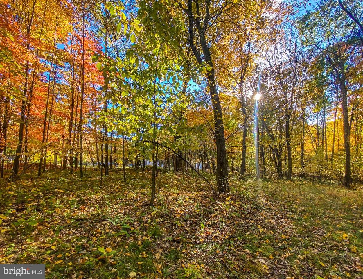 Glade Road - Photo 1