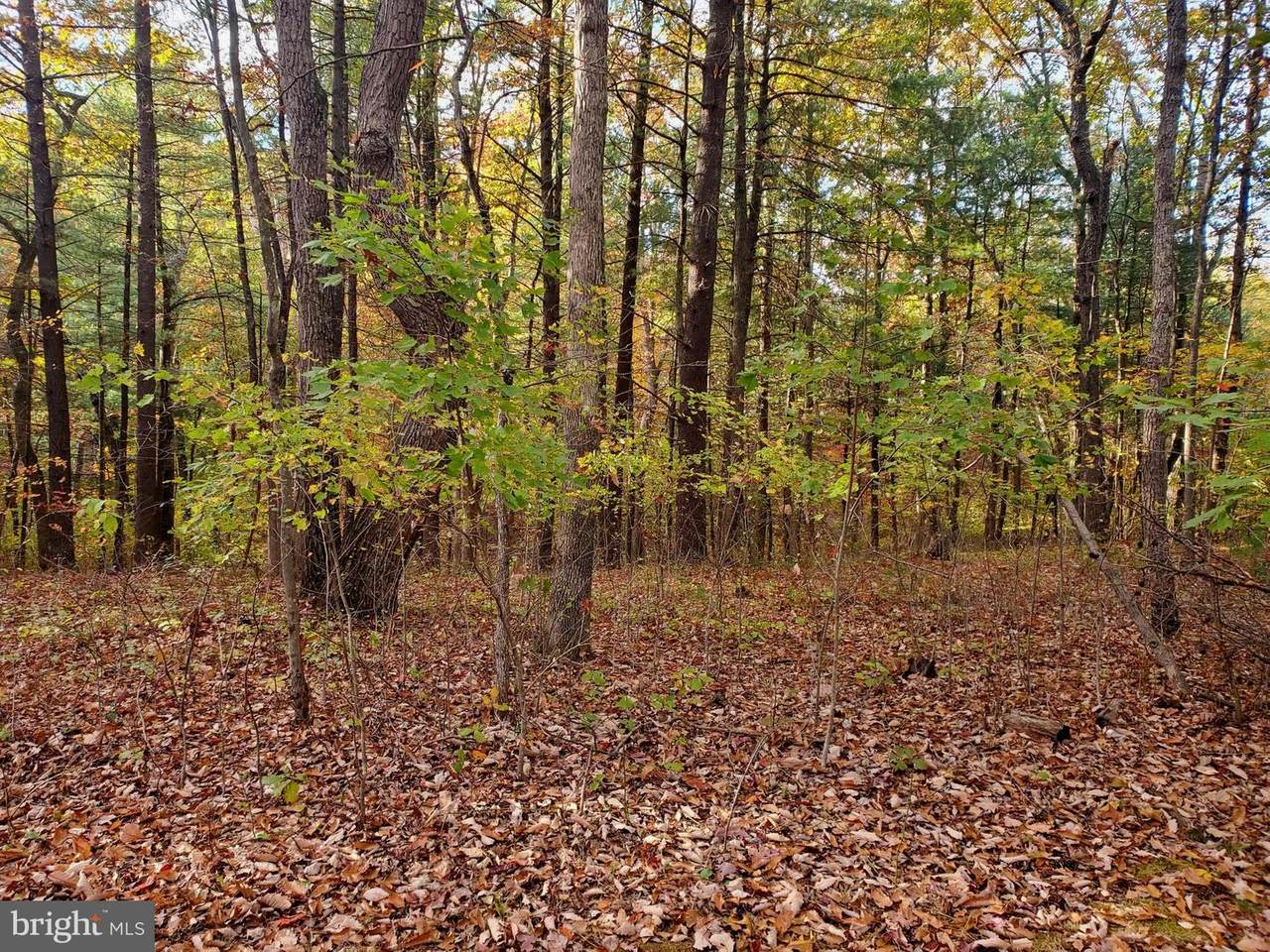 LOT 20 Pine Crest Lane - Photo 1