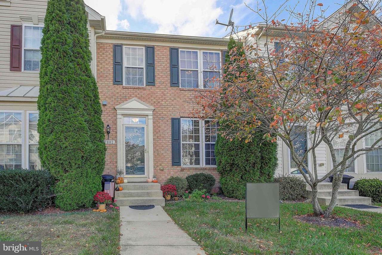 7882 Ivy Terrace - Photo 1