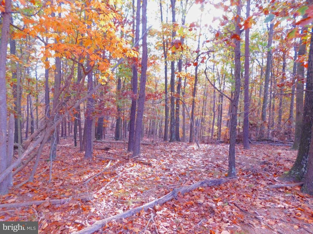 24 Mountain Lake Road - Photo 1