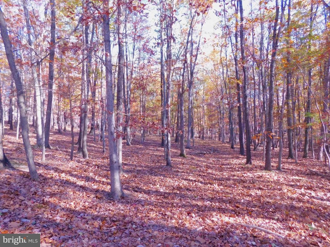 388 Cayuga Trail - Photo 1