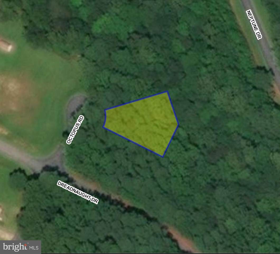 Lot 10 Octopus Road - Photo 1