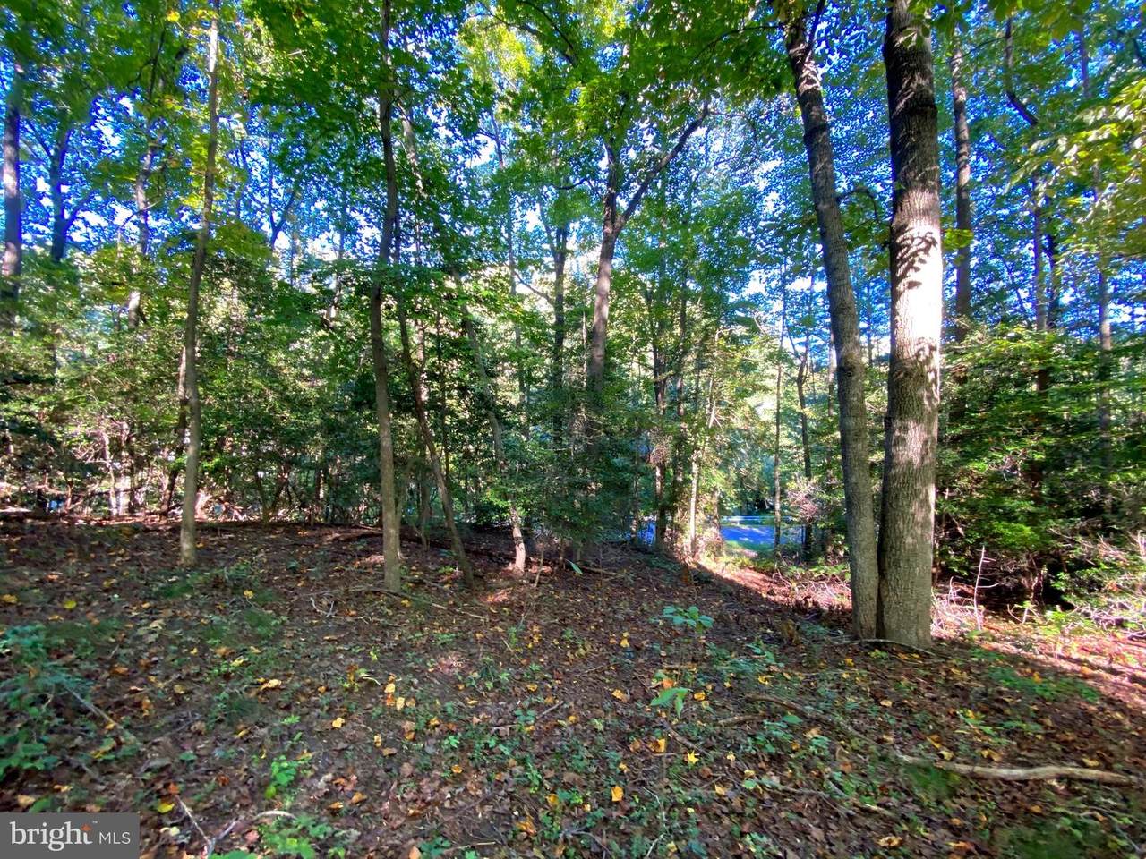 5813 Eucalyptus Drive - Photo 1