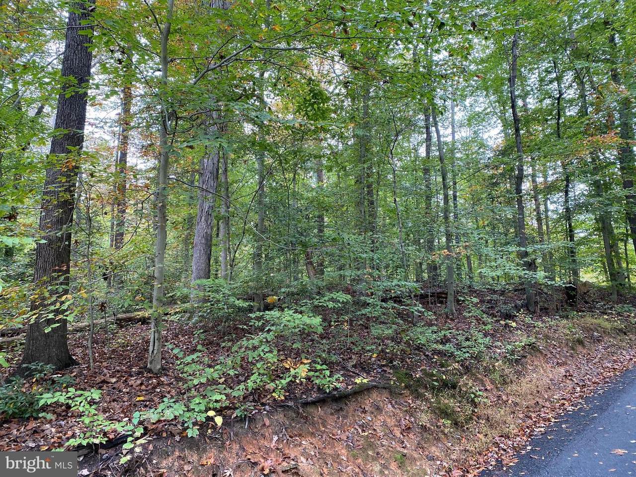11983 Waterside Drive - Photo 1