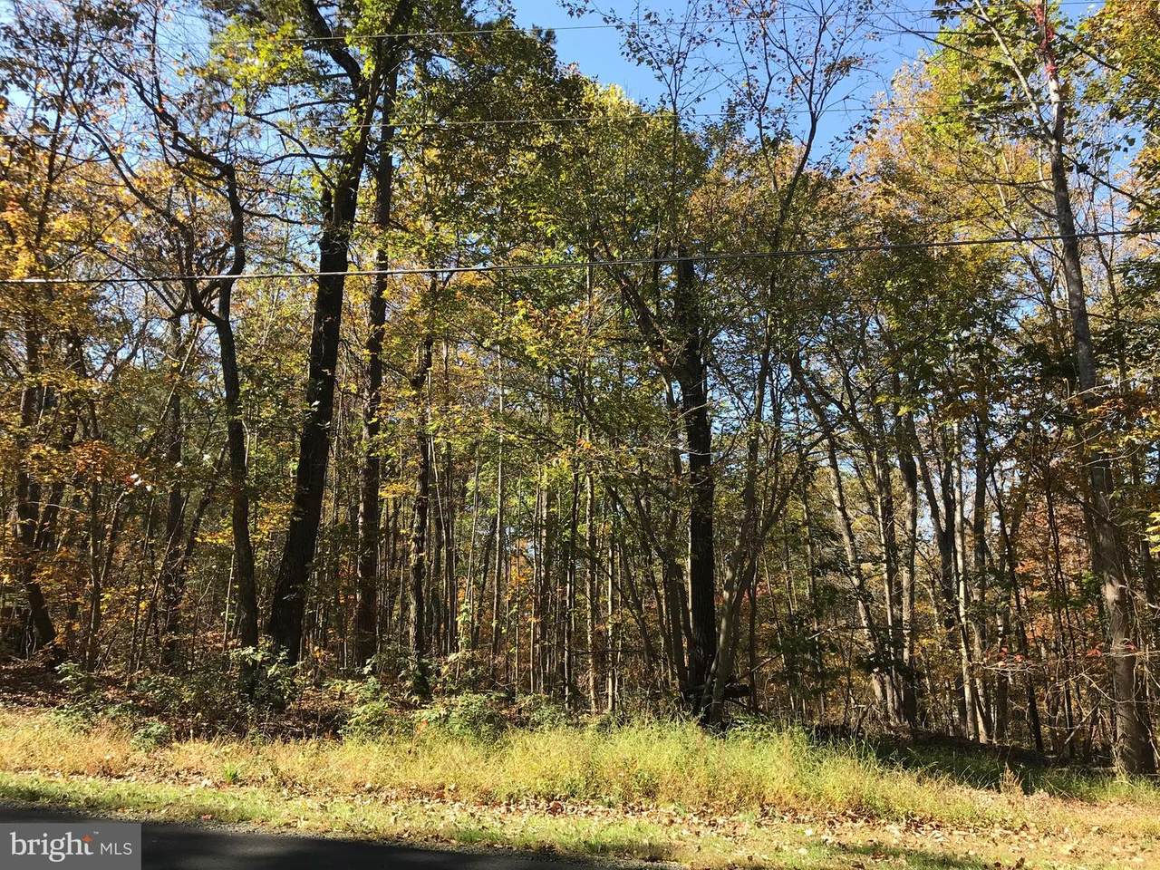 Alum Springs - Photo 1