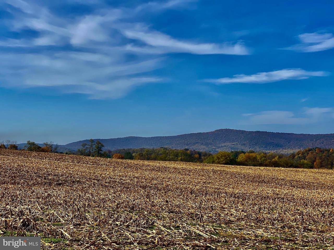 1470 Crossroads Road - Photo 1