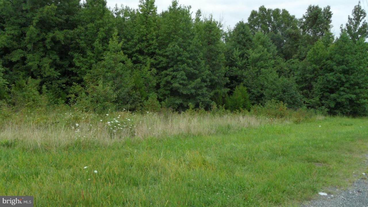 1405 Clayton Road - Photo 1