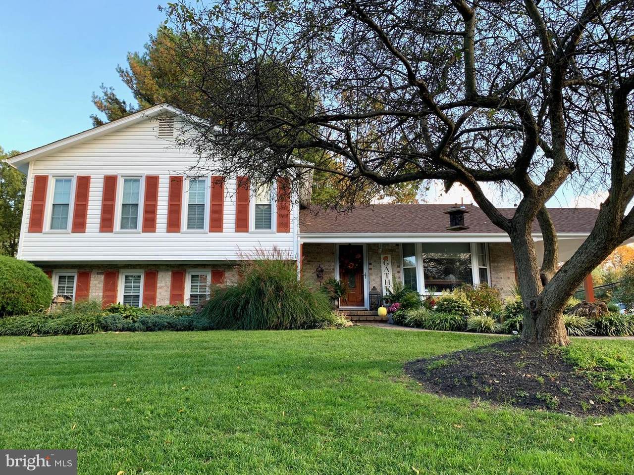 8401 Jandy Avenue - Photo 1