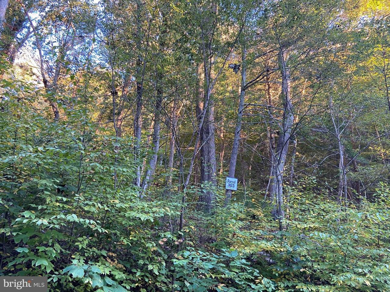 Lot 103 Wilson Run Trail - Photo 1