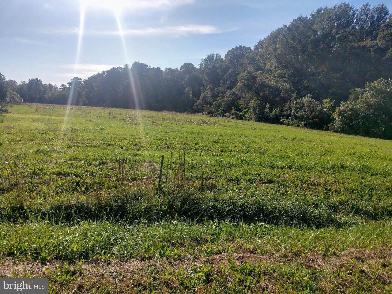 Lot 32 Hickory Cove Road - Photo 1