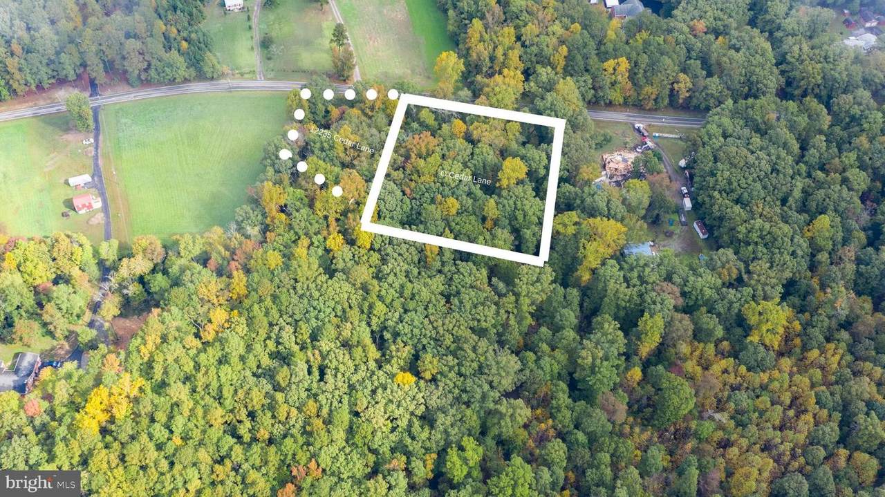 0 Cedar Lane - Photo 1