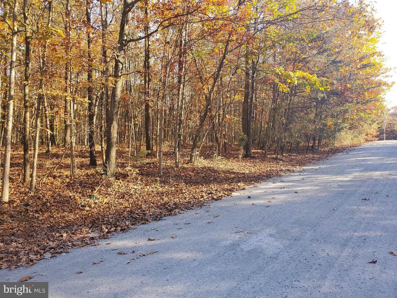 Rustling Leaf Lane - Photo 1