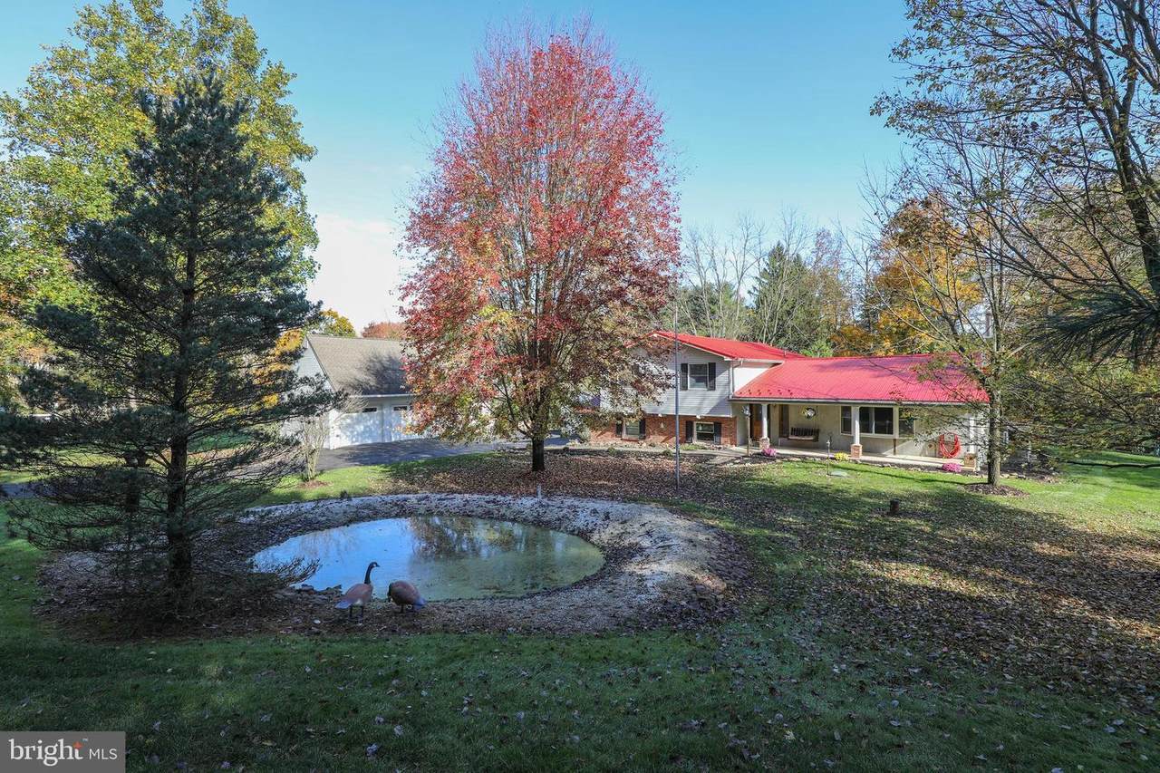 172 Shady Brook Circle - Photo 1