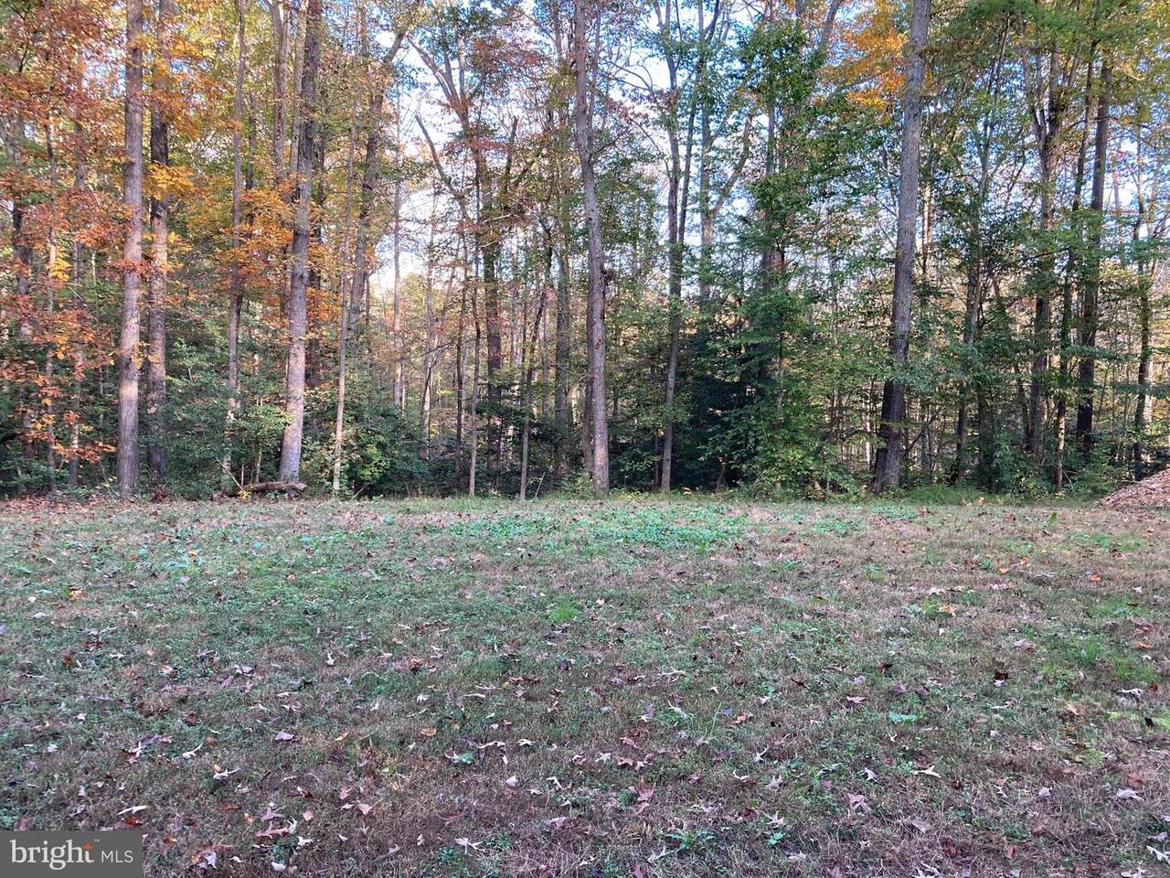 12820 Hadlow Place - Photo 1