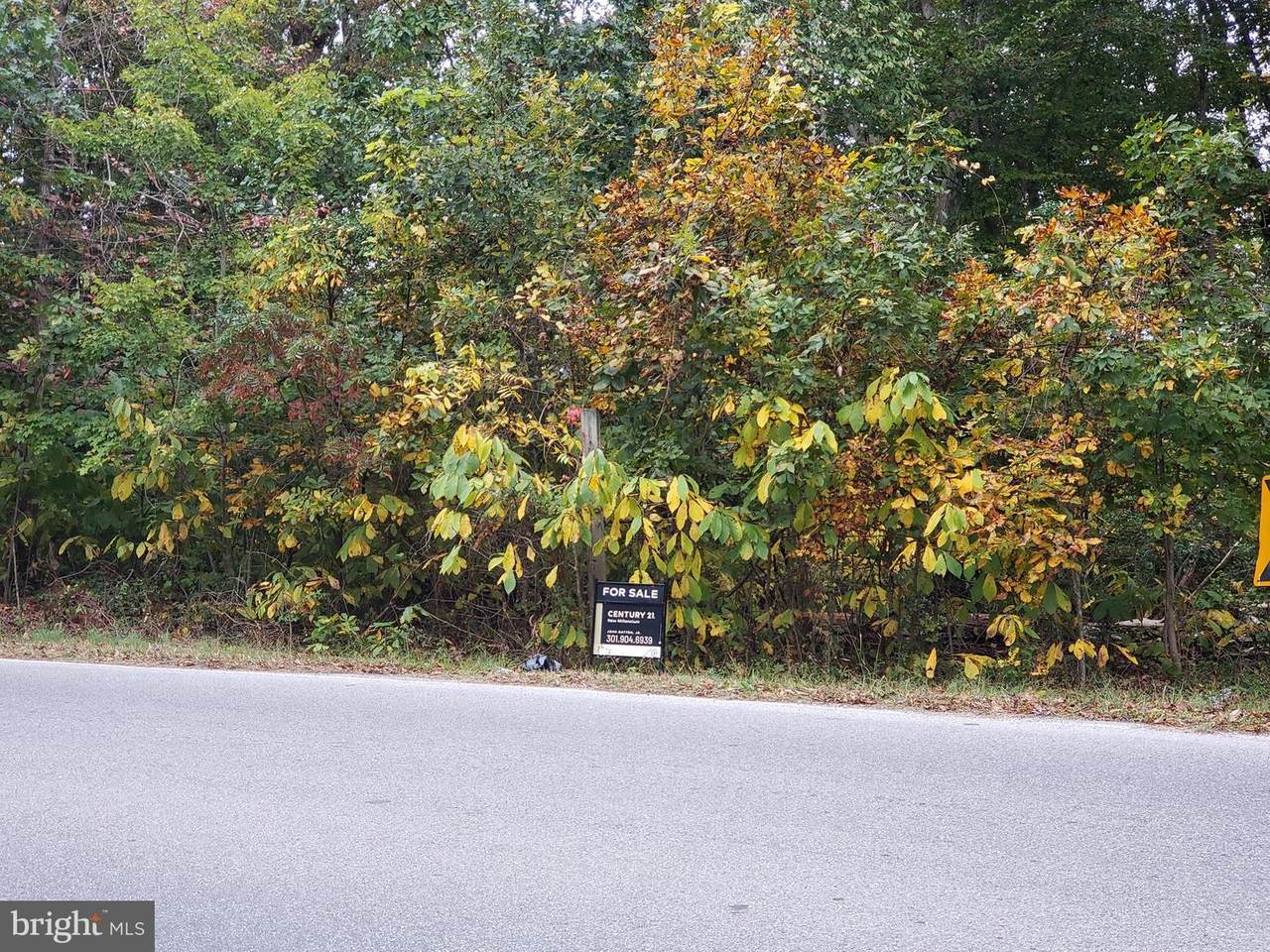 12632 Catalina Drive - Photo 1