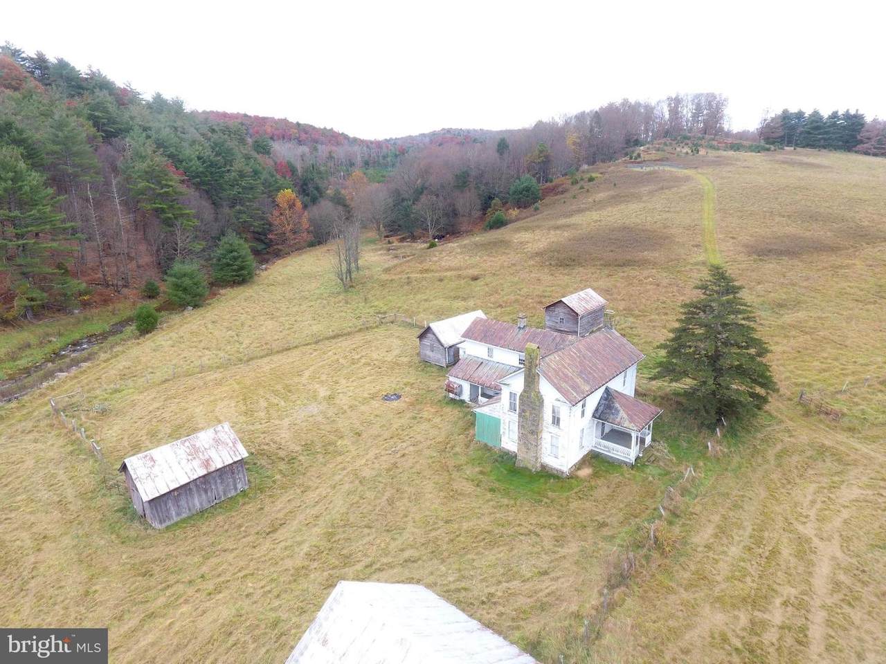 224 Acres Black Thorn - Photo 1