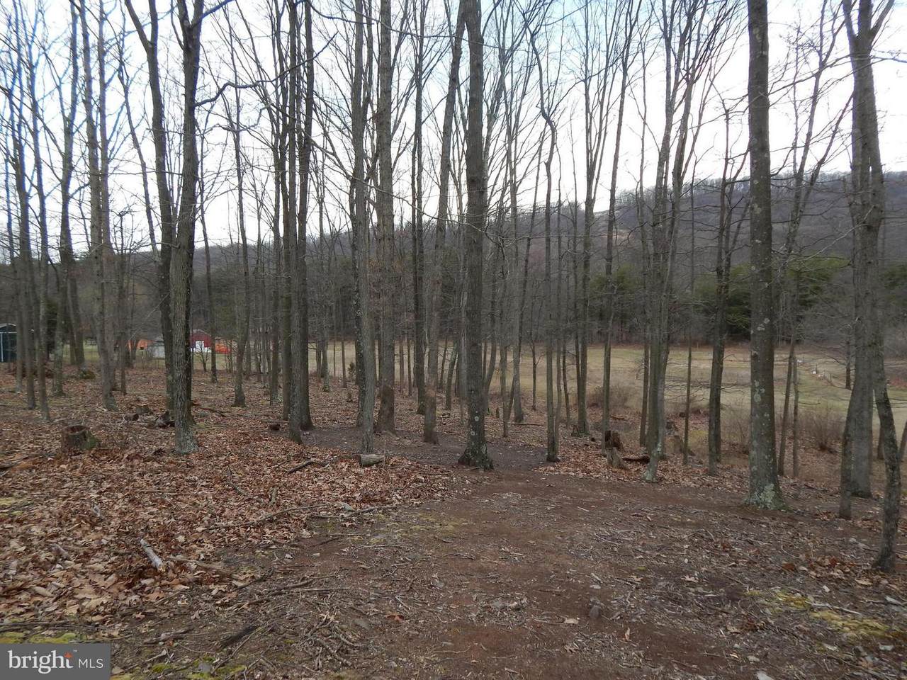 Lot 4 Willet Run Woodmont Road - Photo 1