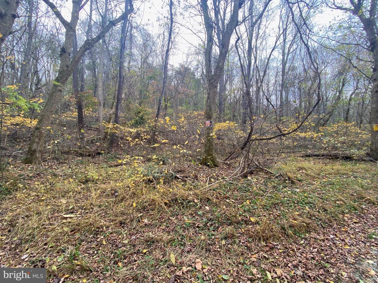 Off-Of Grove Hill River Road - Photo 1