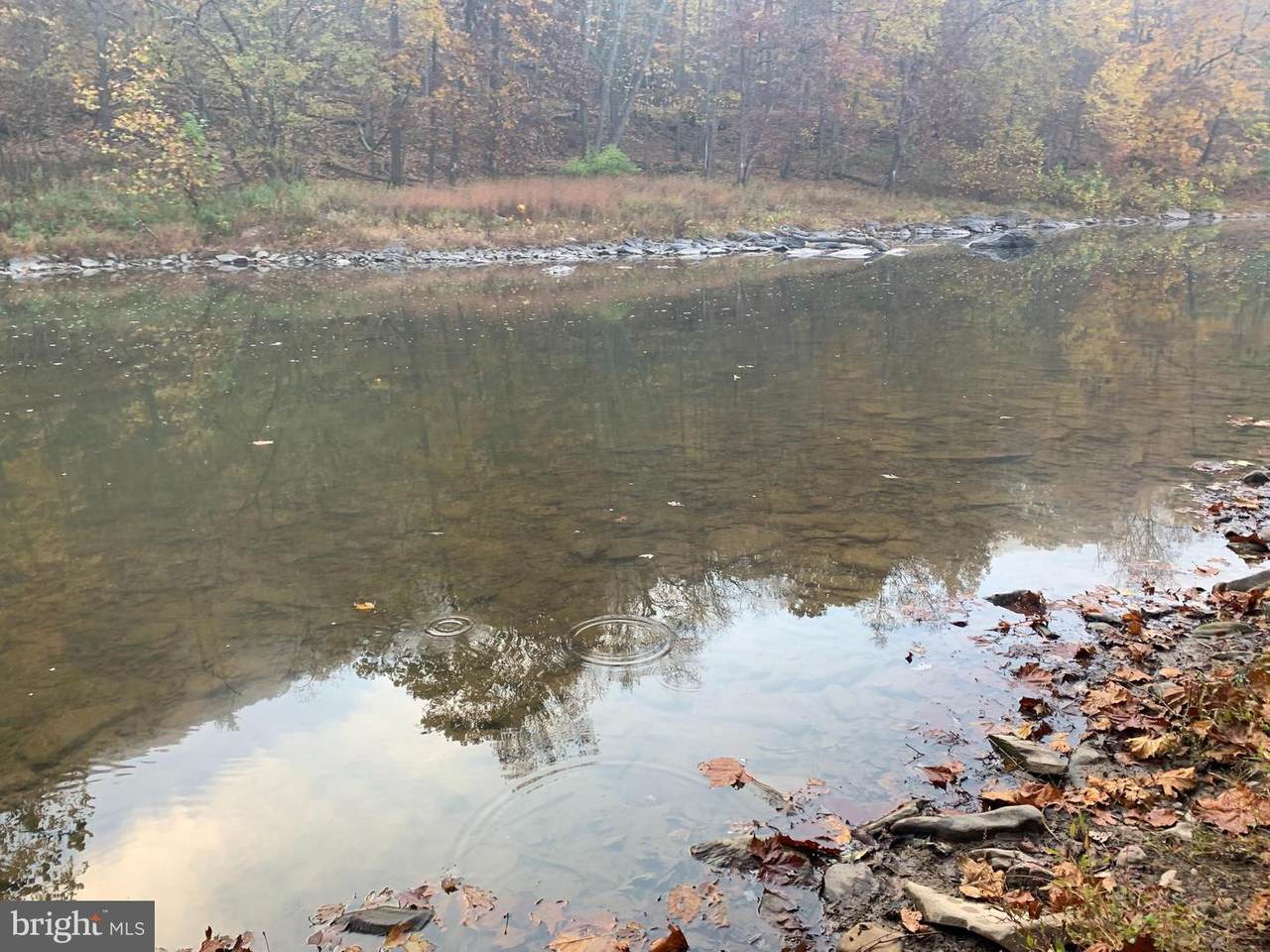 0 Penrod Beach Road - Photo 1
