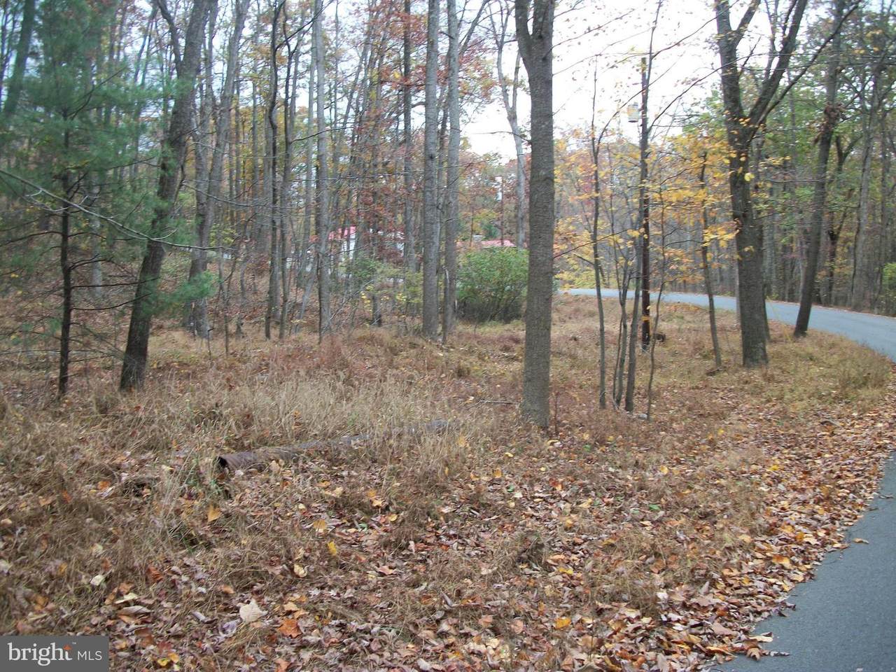 Lot # 9 Audubon Lane - Photo 1