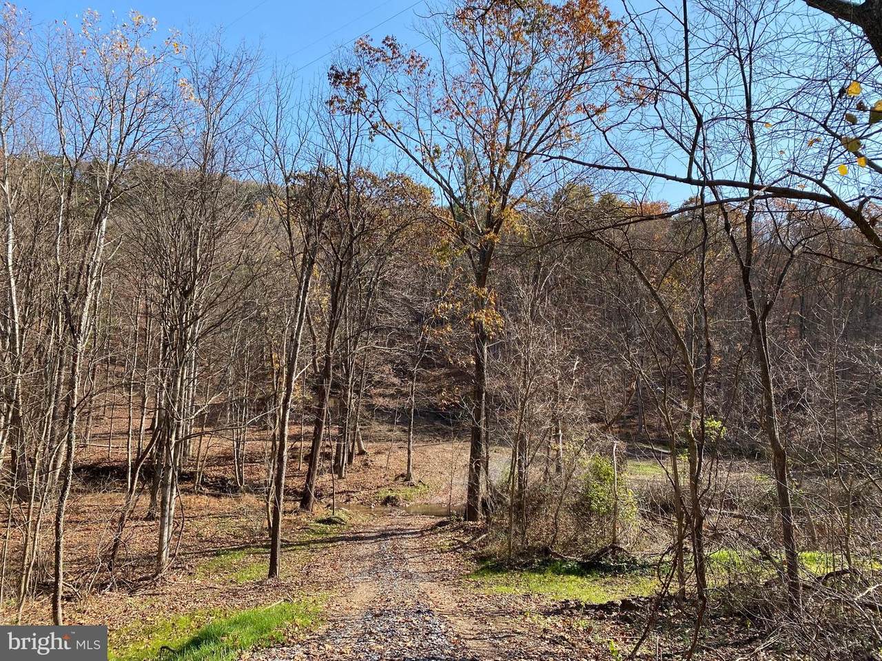 Cacapon Road - Photo 1