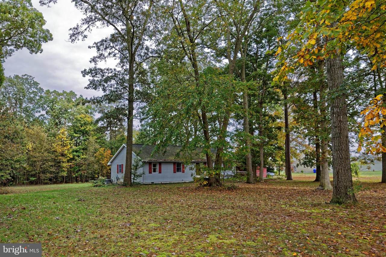 24293 Zoar Road - Photo 1