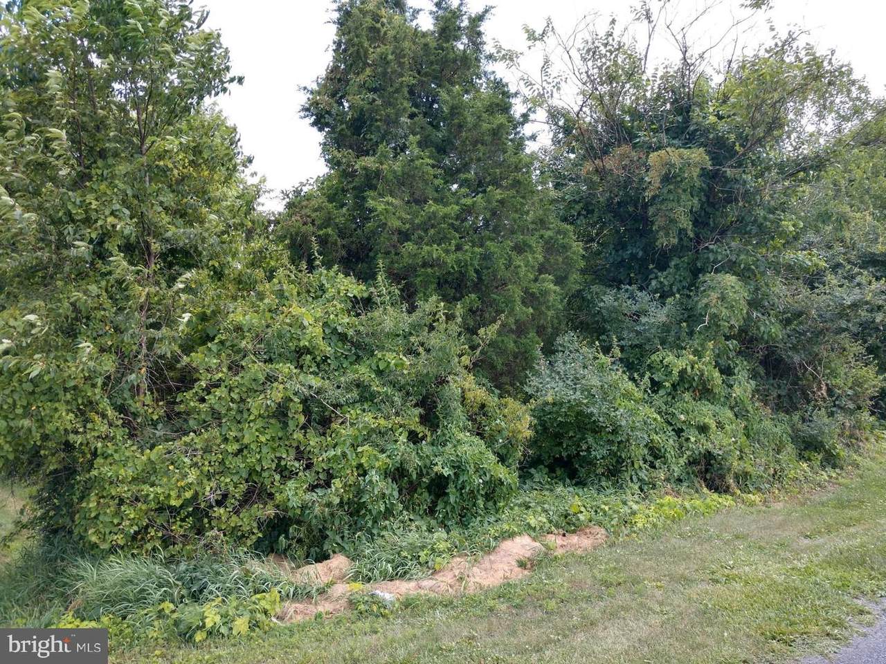 Lot 4-(1296) Hade Road - Photo 1
