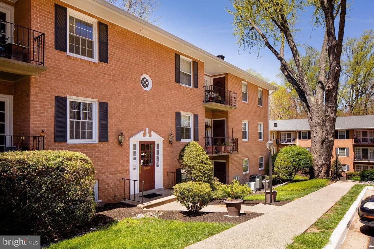 3814 Lyndhurst Drive - Photo 1